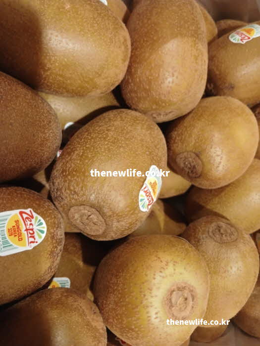 키위 효능 혈압 조절 칼륨 폴리페놀