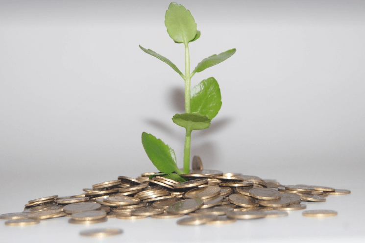 세종 지역화폐 사용처 총정리! 알뜰하게 쓰는 꿀팁까지