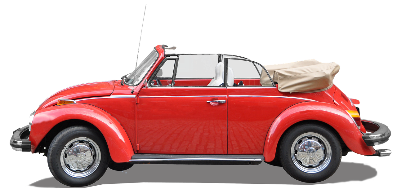 자동차 정기 검사 조회