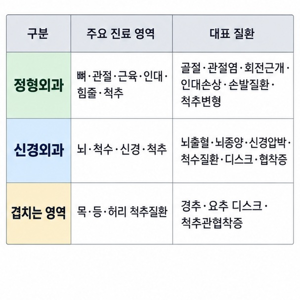 정형외과와 신경외과의 주요 진료영역 및 척추질환처럼 겹치는 분야를 표로 정리한 이미지