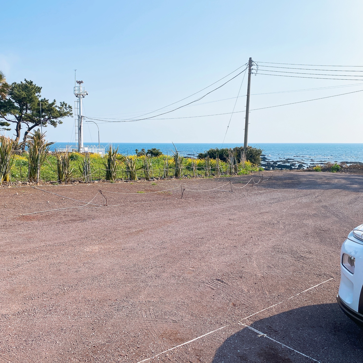 제주 안덕 유채꽃 포토존 오션뷰 카페 휴일로