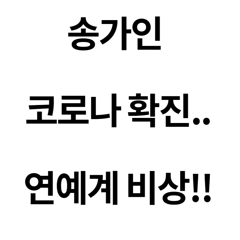 송가인/