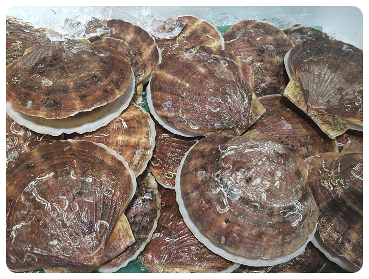가리비 부작용