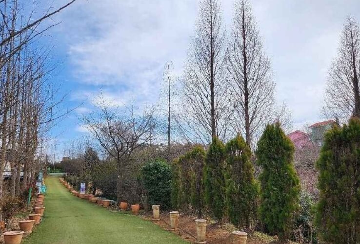 태안 가볼만한곳 베스트 10