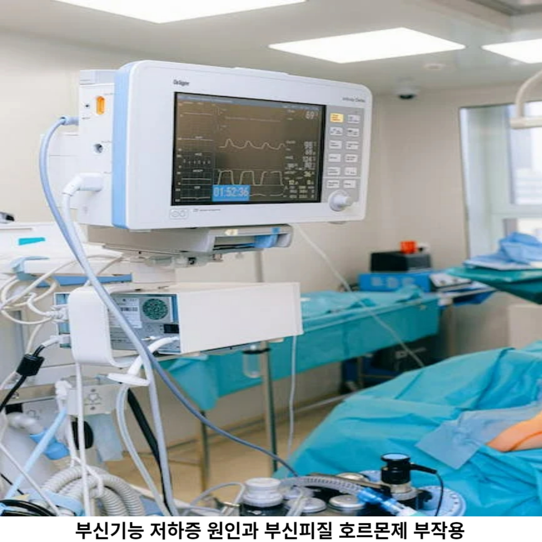 부신 이란?