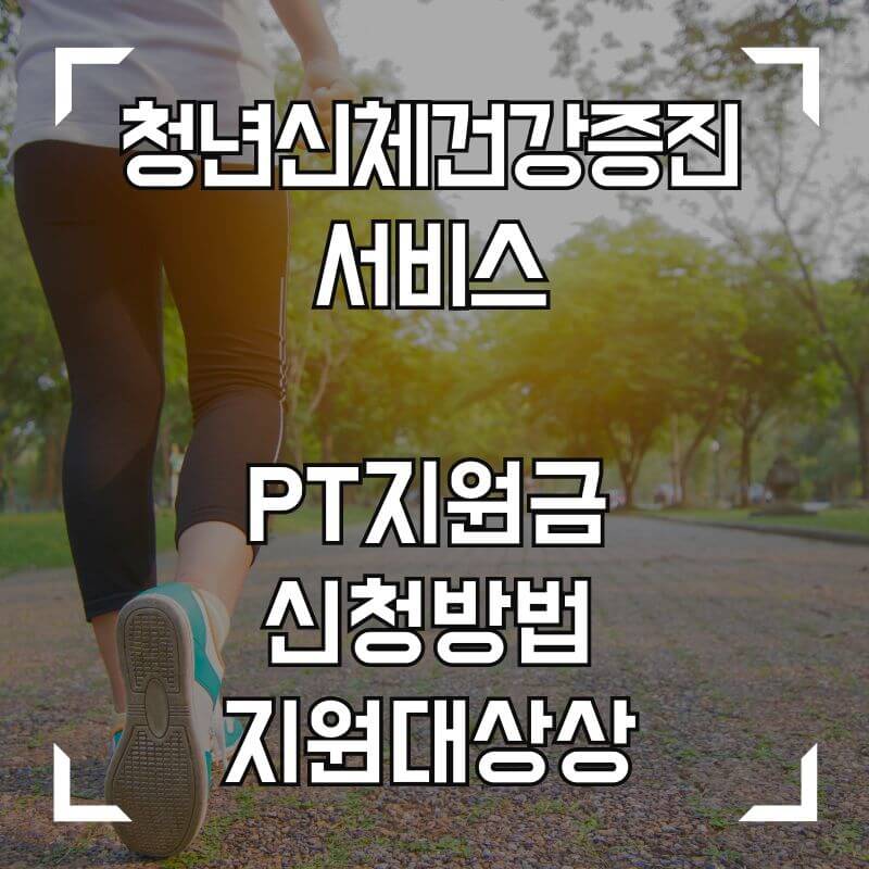 청년신체건강증진서비스
