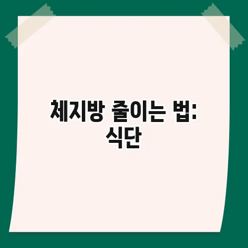 체지방 줄이는 법: 식단, 운동, 영양제 꿀팁 총정리