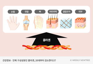 저분자콜라겐트리펩타이드