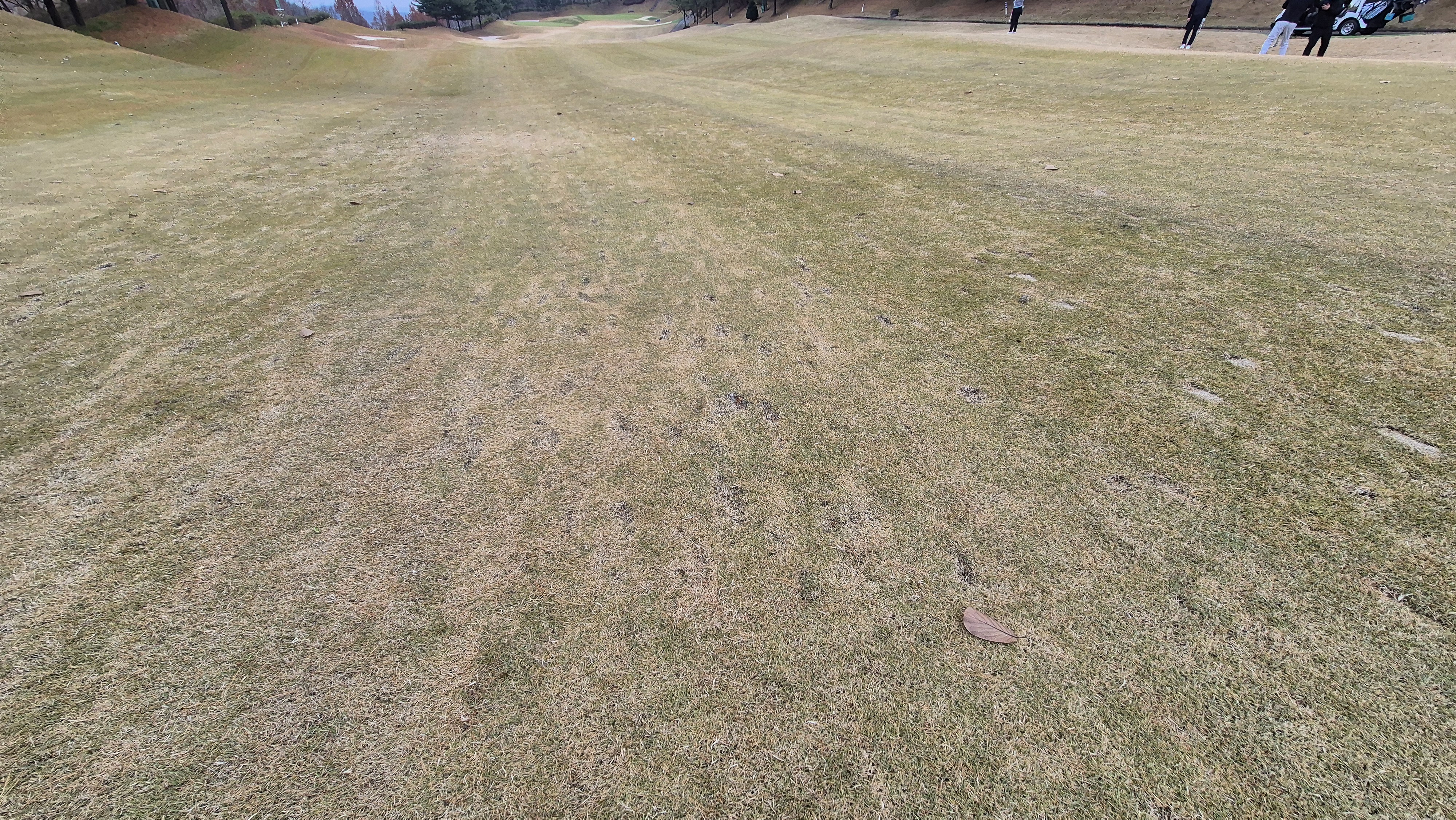 올데이 떼제베cc 가람-누리(서-남) 코스난이도