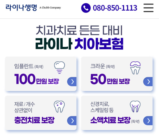 라이나생명 치아보험