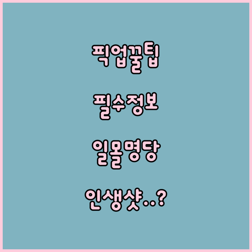 푸꾸옥 두짓 프린세스 공항 픽업 정보..