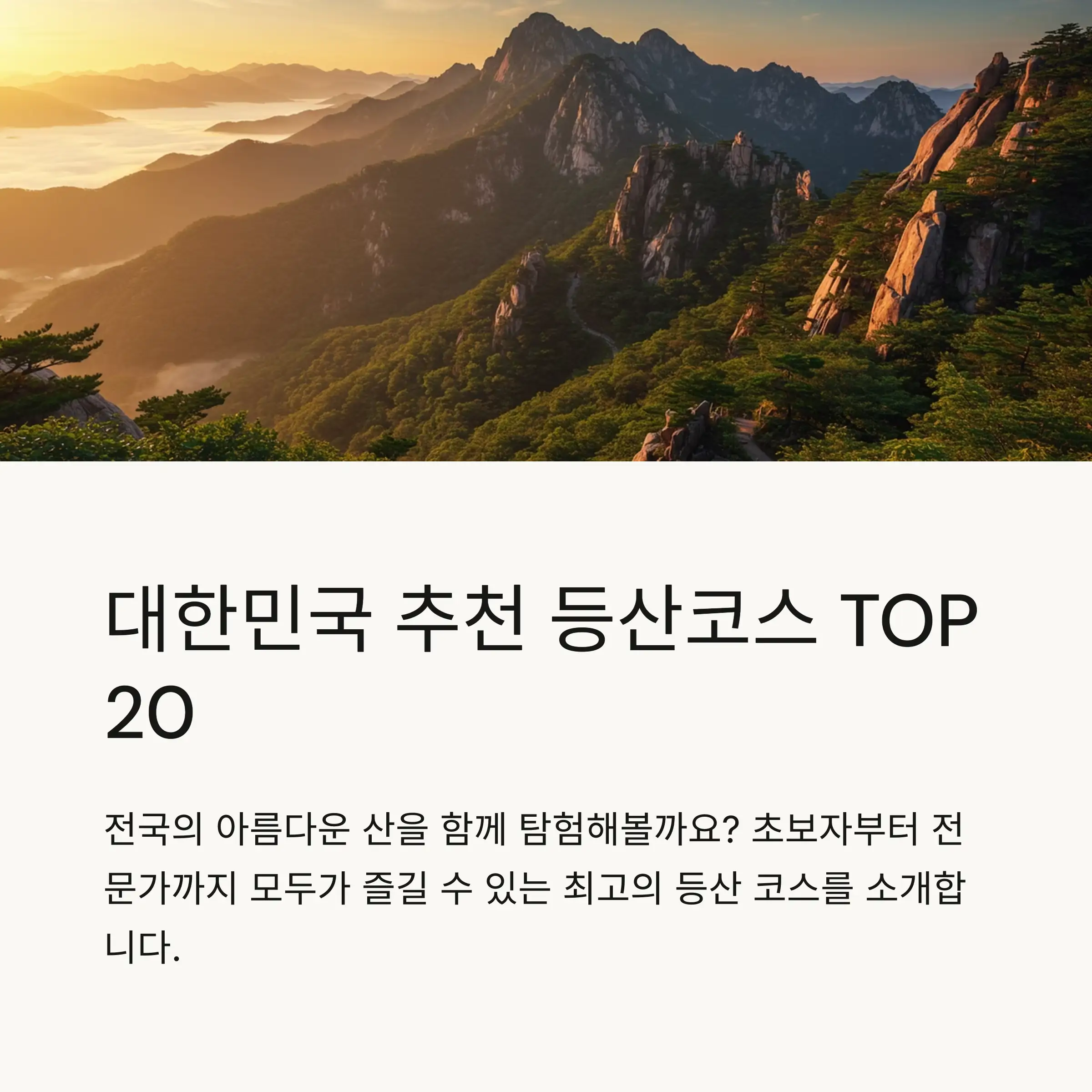 📋 목차