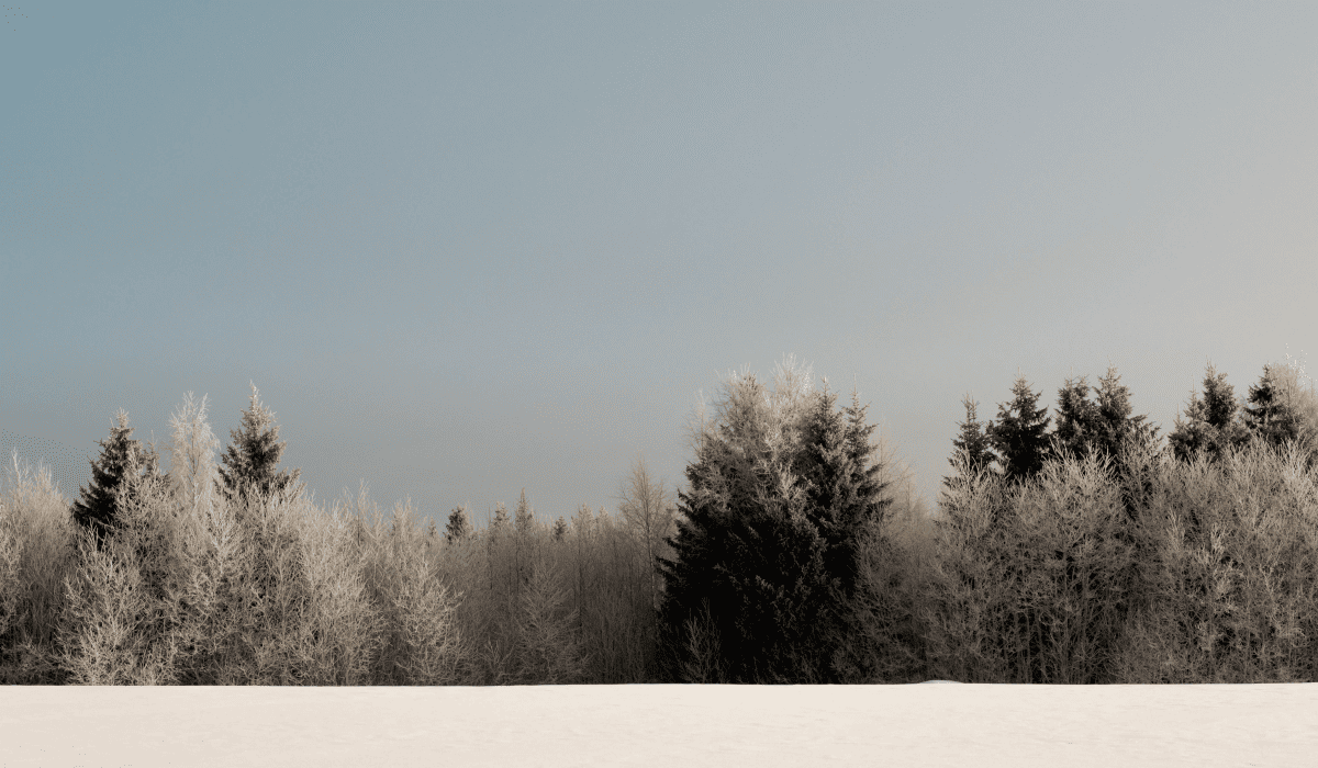 제주렌트카비교사이트_30