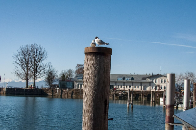 철학자의 하루 - 데카르트처럼 침대에서 하루 시작해보기