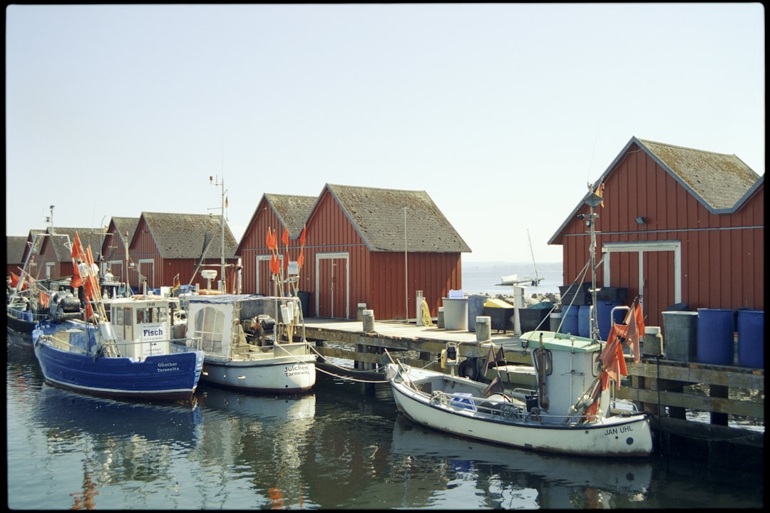 2025년 민생회복 소비쿠폰: 농어촌 인구감소지역 84개 시군 추가 지원금 총정리 7가지 관련 이미지 1