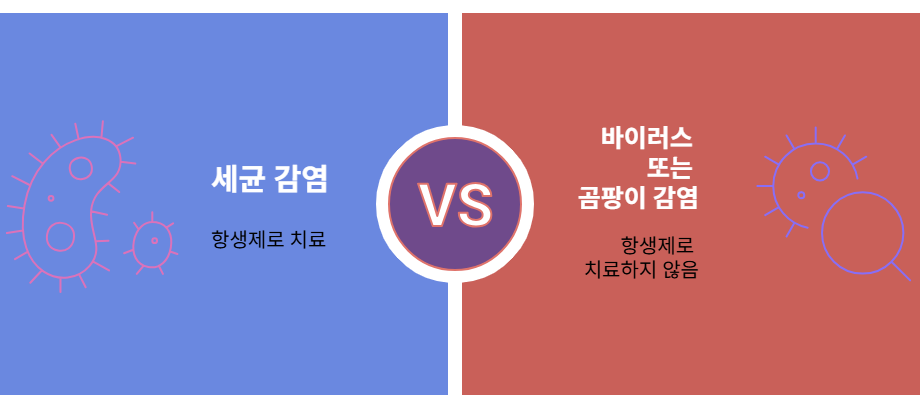 항생제 치료 효과있는 유형