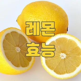 레몬디톡스 효과 부작용_25