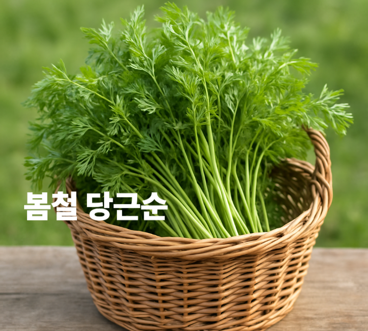 비타민A풍부 시력보호 혈압조절 노화방지 봄철 당근순 효능 영양성분