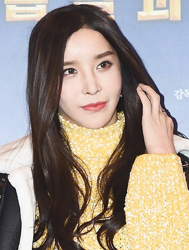 가수-하리수