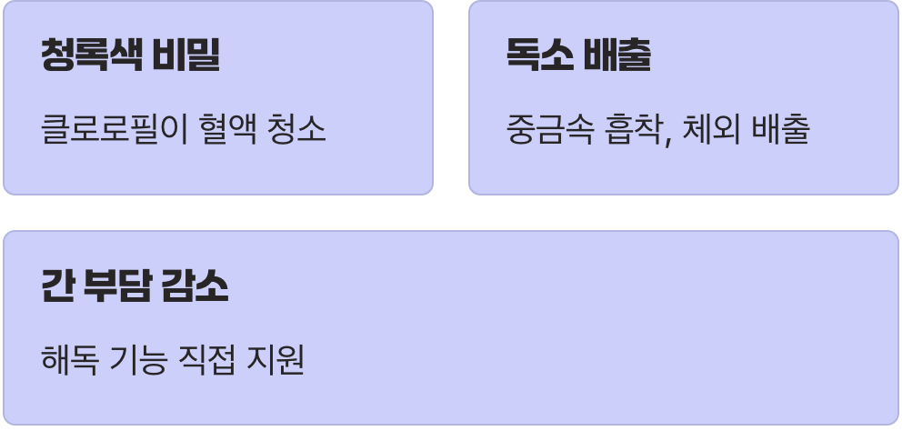 간을 위한 천연 청소기