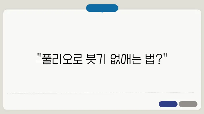 풀리오 풀리지 허벅지 마사지기 가격 및 성능