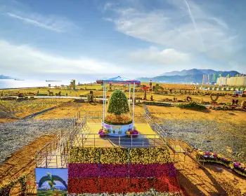 마산 가고파 국화축제_4