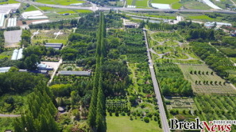 2025 임업공익직접지불금