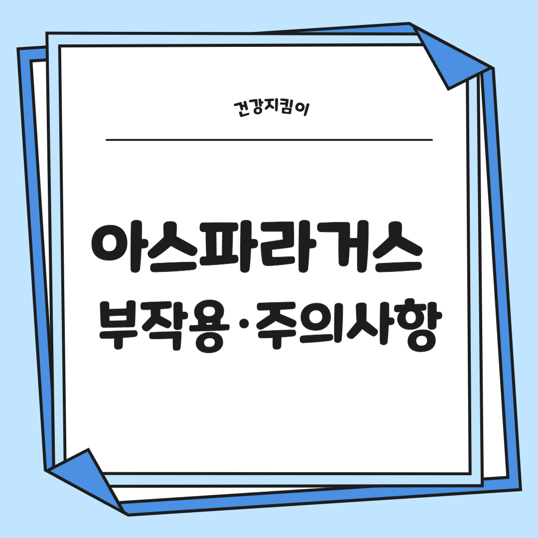 아스파라거스 효능 사랑받는 6가지 고르는법 부작용