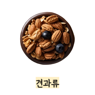 단백질-보충제