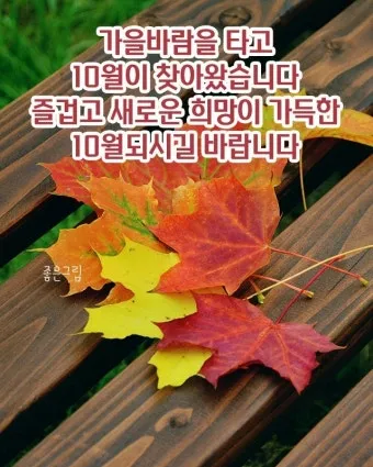 10월 인사말 문구 모음 정리_13
