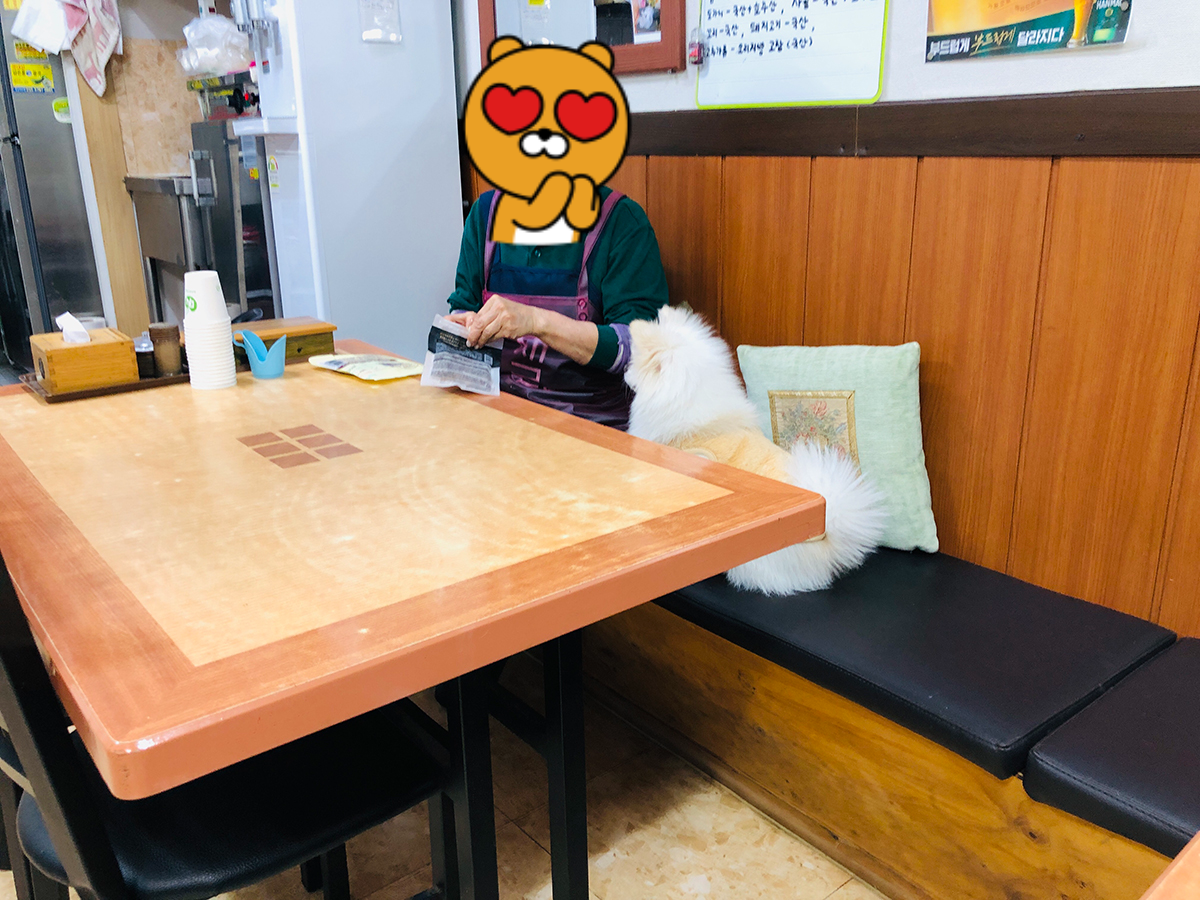 분당 맛집 고창댁설렁탕 강아지