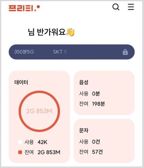 프리티실시간사용량