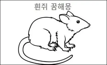 흰쥐 꿈해몽
