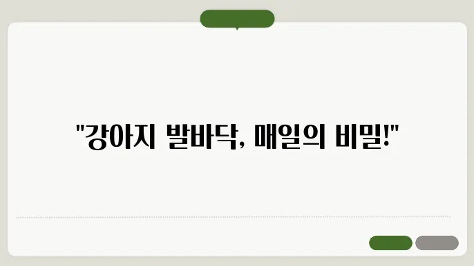 강아지 발바닥 관리, 매일 루틴으로 완벽하게