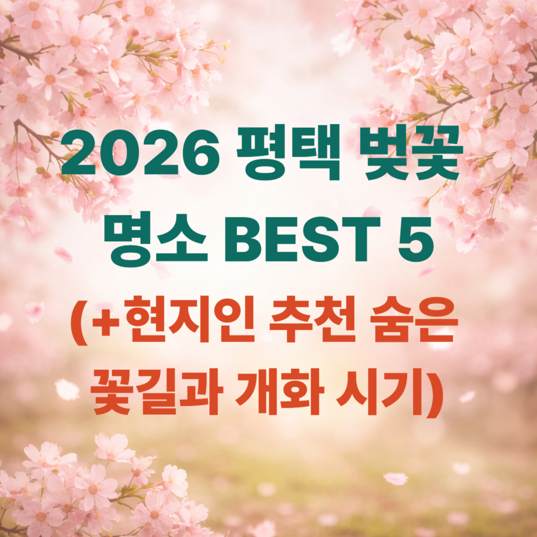 2026 평택 벚꽃 명소 BEST 5: 현지인 추천 숨은 꽃길과 개화 시기 총정리