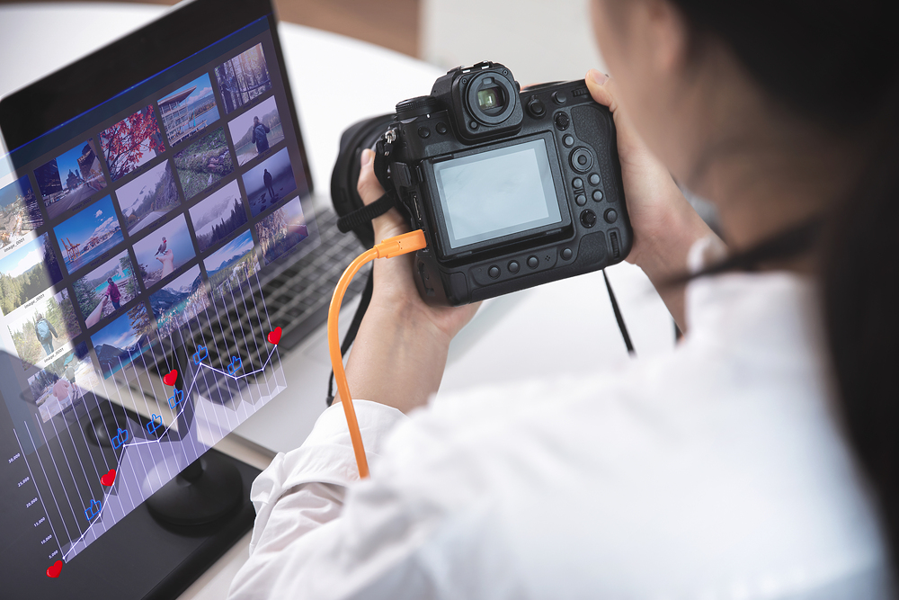 무료-이미지-사이트