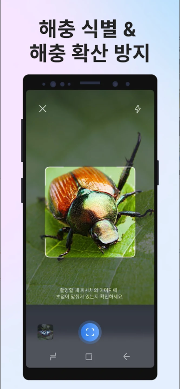 사진으로 곤충 이름 찾기 어플, 사진 이미지 기반 곤충 식별