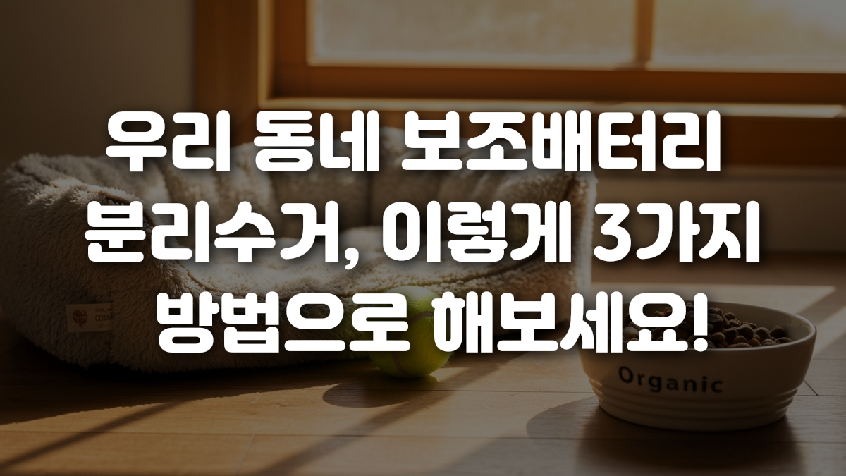 우리 동네 보조배터리 분리수거 이렇게 3가지 방법으로 해보세요