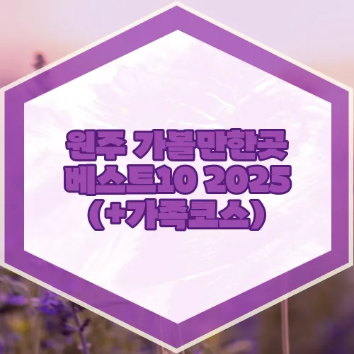 원주 가볼만한곳 베스트10 2025 (+가족코스)