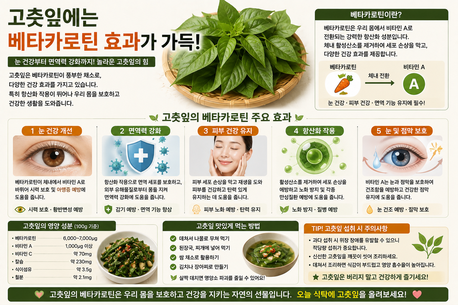 베타카로틴과 칼슘, 고춧잎이 품고 있는 영양소