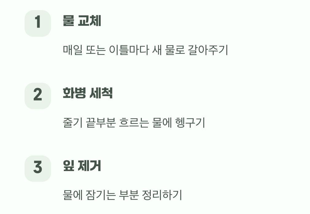 깨끗한 환경이 생명이에요
