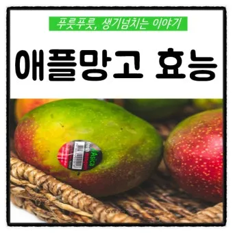 망고 효능 부작용 보관법으로_13