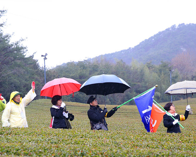 2025 강진하맥축제 완벽 가이드 | 전남 최고의 맥주 페스티벌에서 즐기는 여름밤