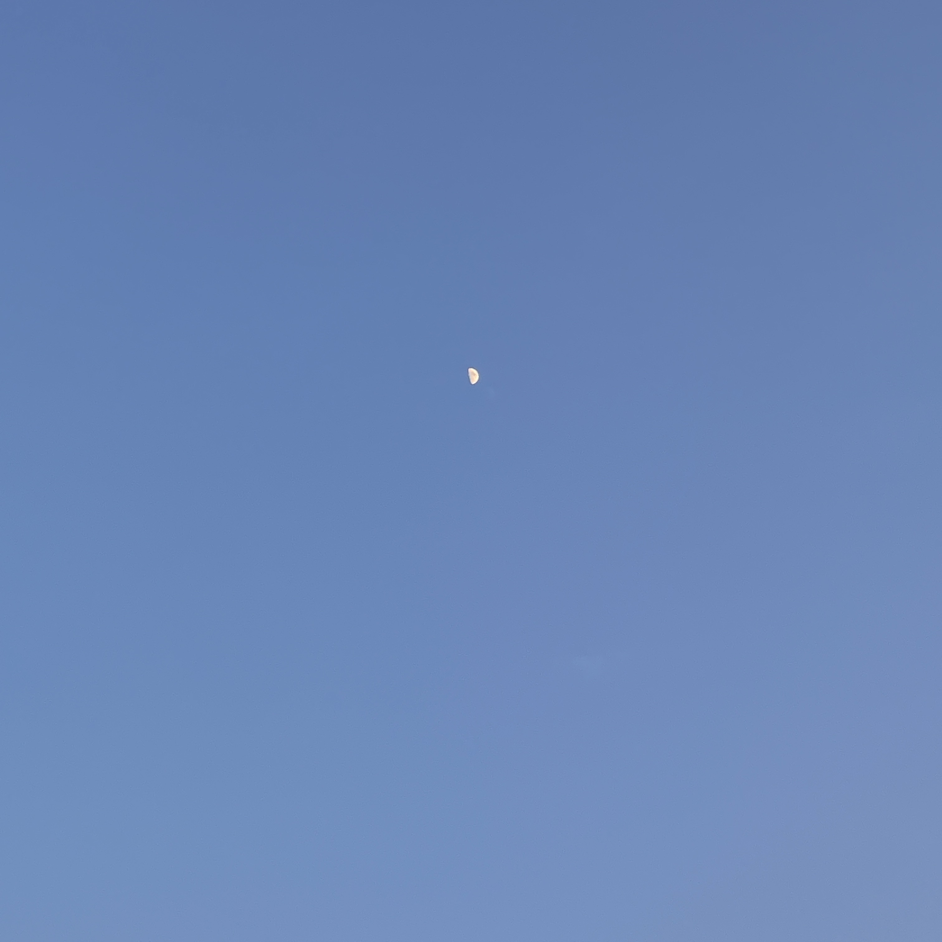 반달이 떠있는 하늘 사진 from messyy