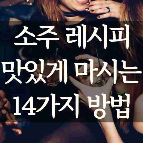 소주-레시피로-맛있는-위스키를-즐기는-사람들