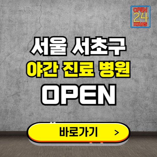 서울 서초구 야간진료 병원 찾기 ❘ 24시 심야 밤 늦게 여는 병원