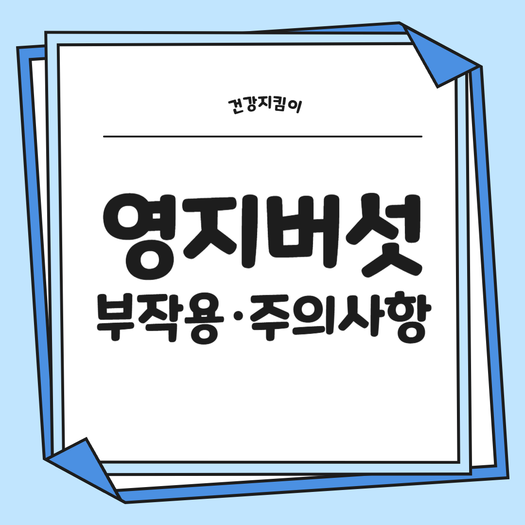 영지버섯 효능 부작용 먹는 방법