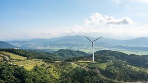 여름 경주 가볼만한곳 베스트 10 후기