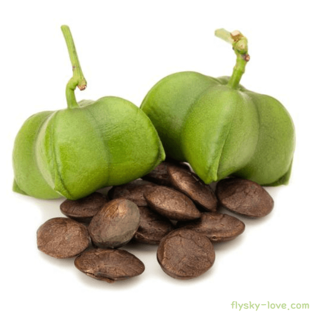 땅위의 별 사차인치