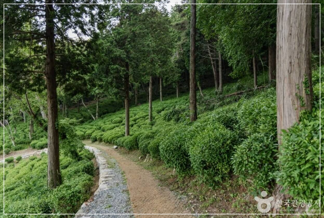 사천 가볼만한곳 베스트10 다솔사